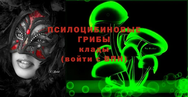 бошки Верхний Тагил