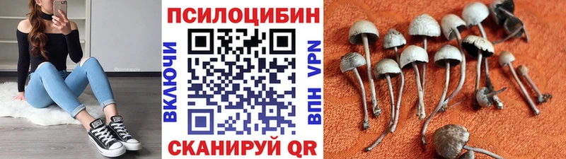 Псилоцибиновые грибы Cubensis Вольск