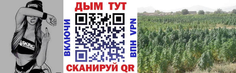 Марихуана Ganja  blacksprut ссылка  Вольск 